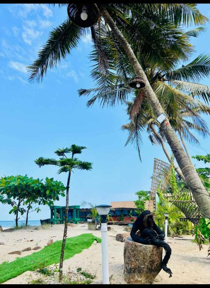 Alivious Beach Homestay Alappuzha 外观 照片