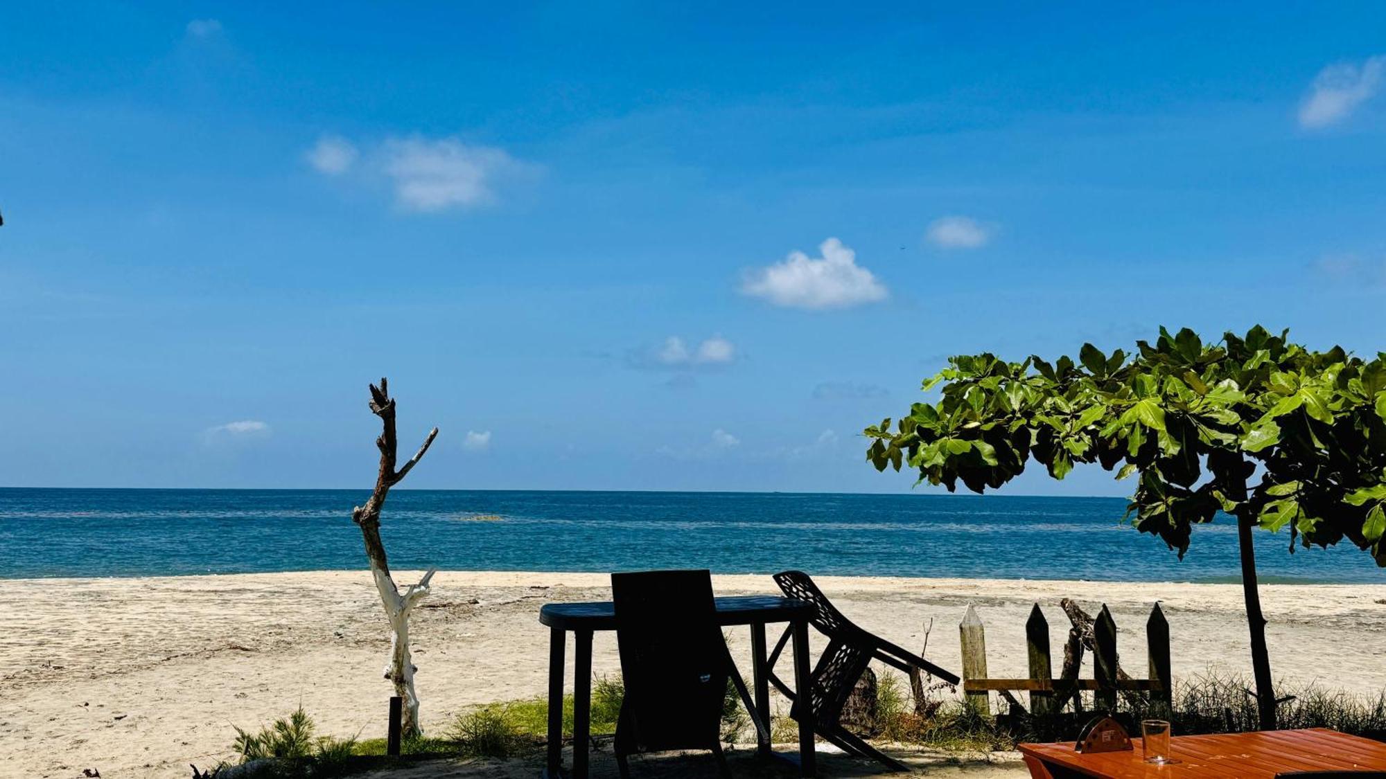 Alivious Beach Homestay Alappuzha 外观 照片